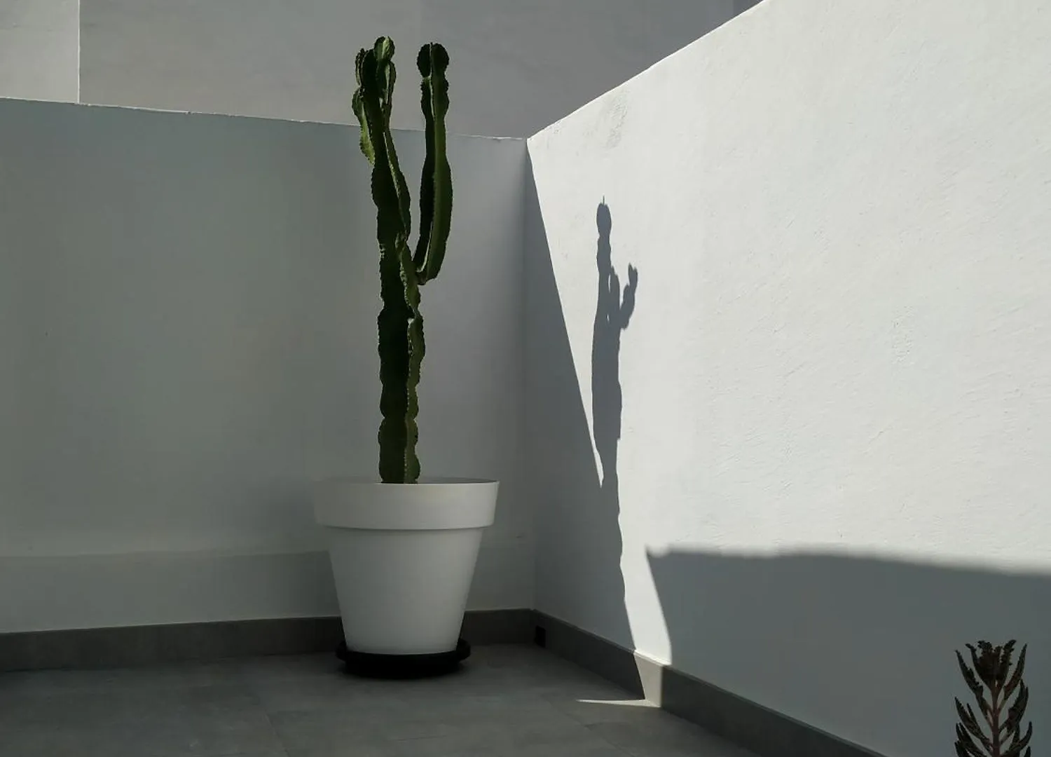 Casa Oceanica - Lanzarote Apartamento Puerto del Carmen   Puerto del Carmen (Lanzarote)